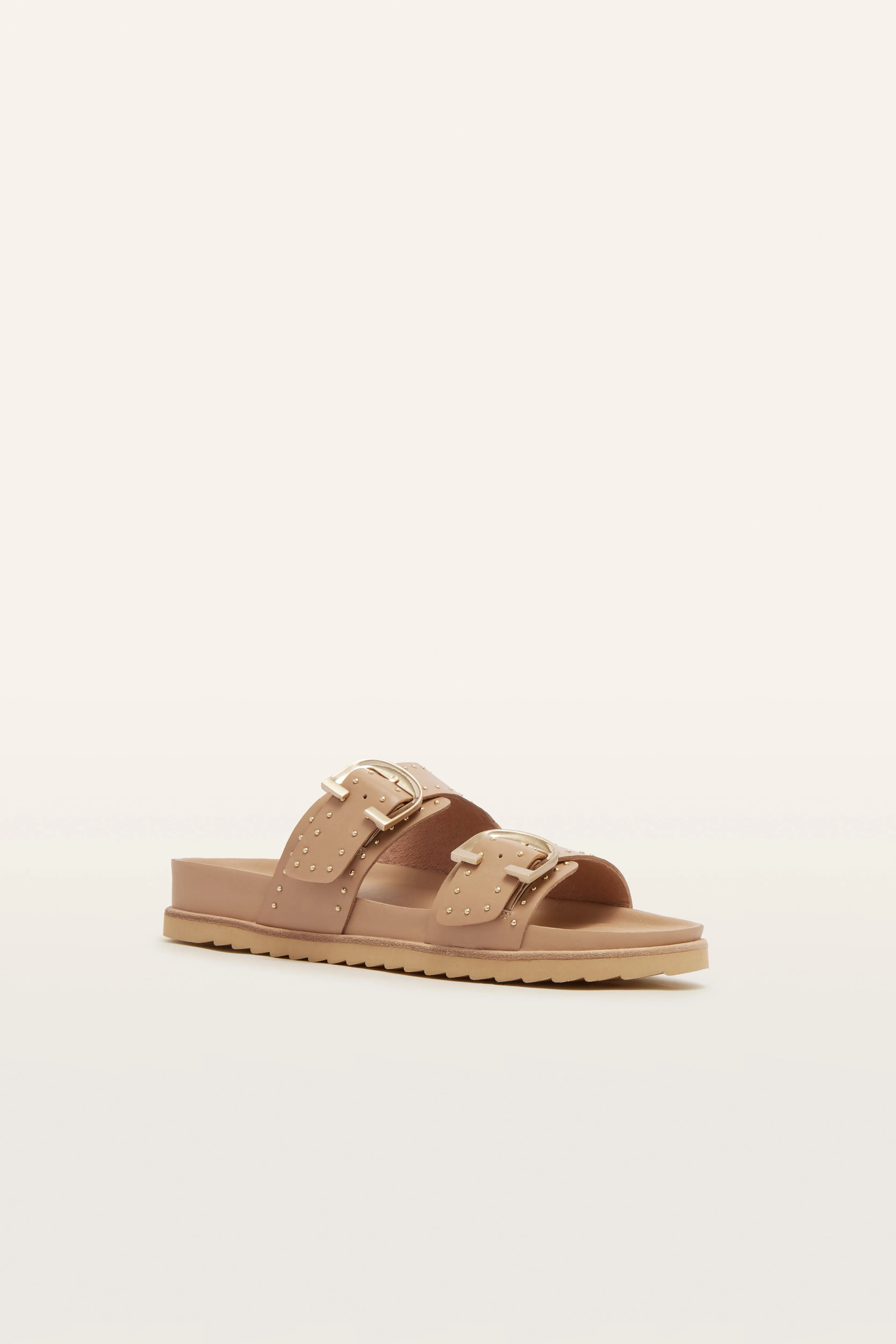 FRANKIE4 - Deon Camel Stud