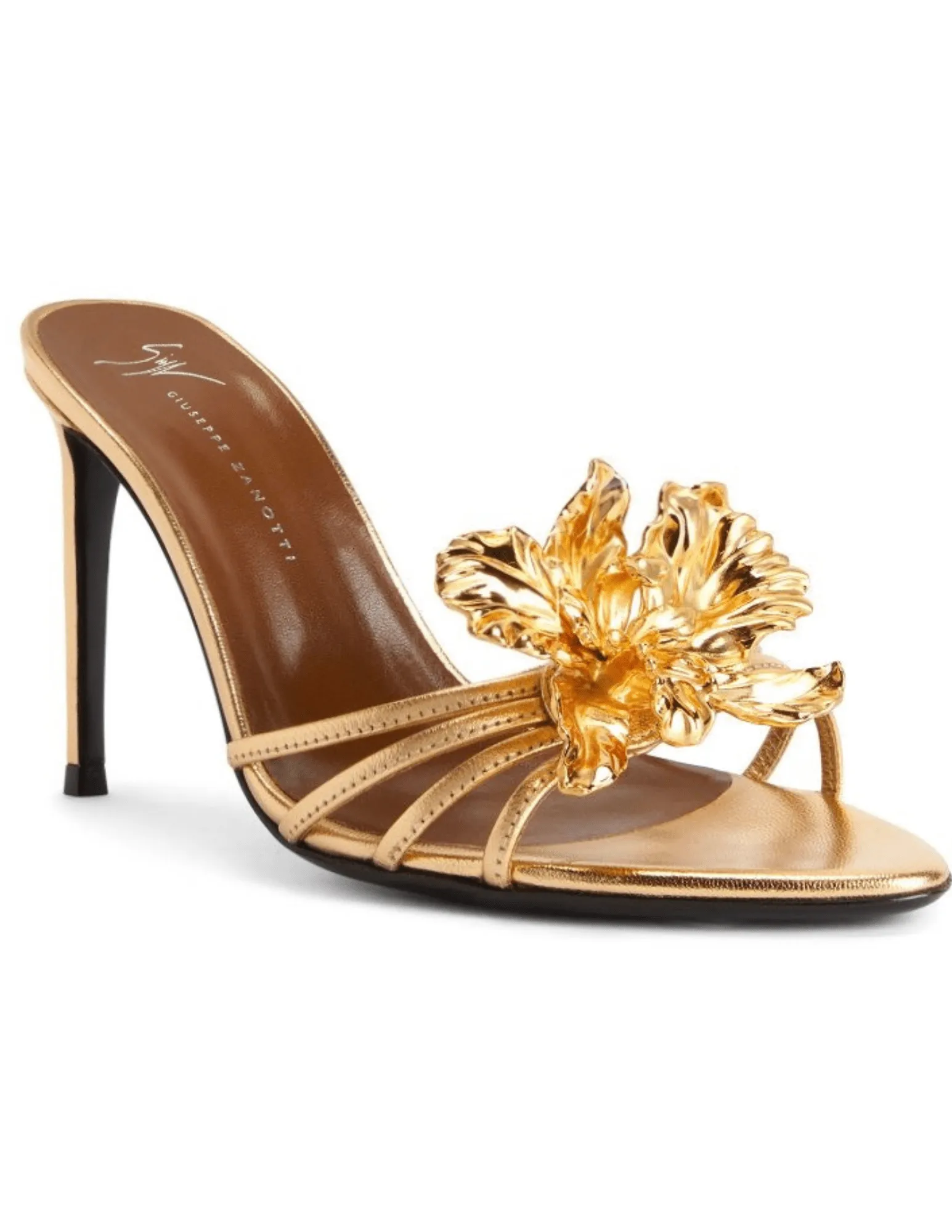 Giuseppe Zanotti Orchid Mule 90mm Heel