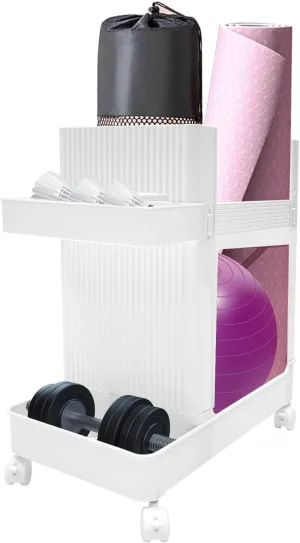 Home Gym Storage Rack, Multifunctional Storage Rack Workout Equipment Storage Cart Storage Rack Home Gym Equipment with Wheels for Home Gym School