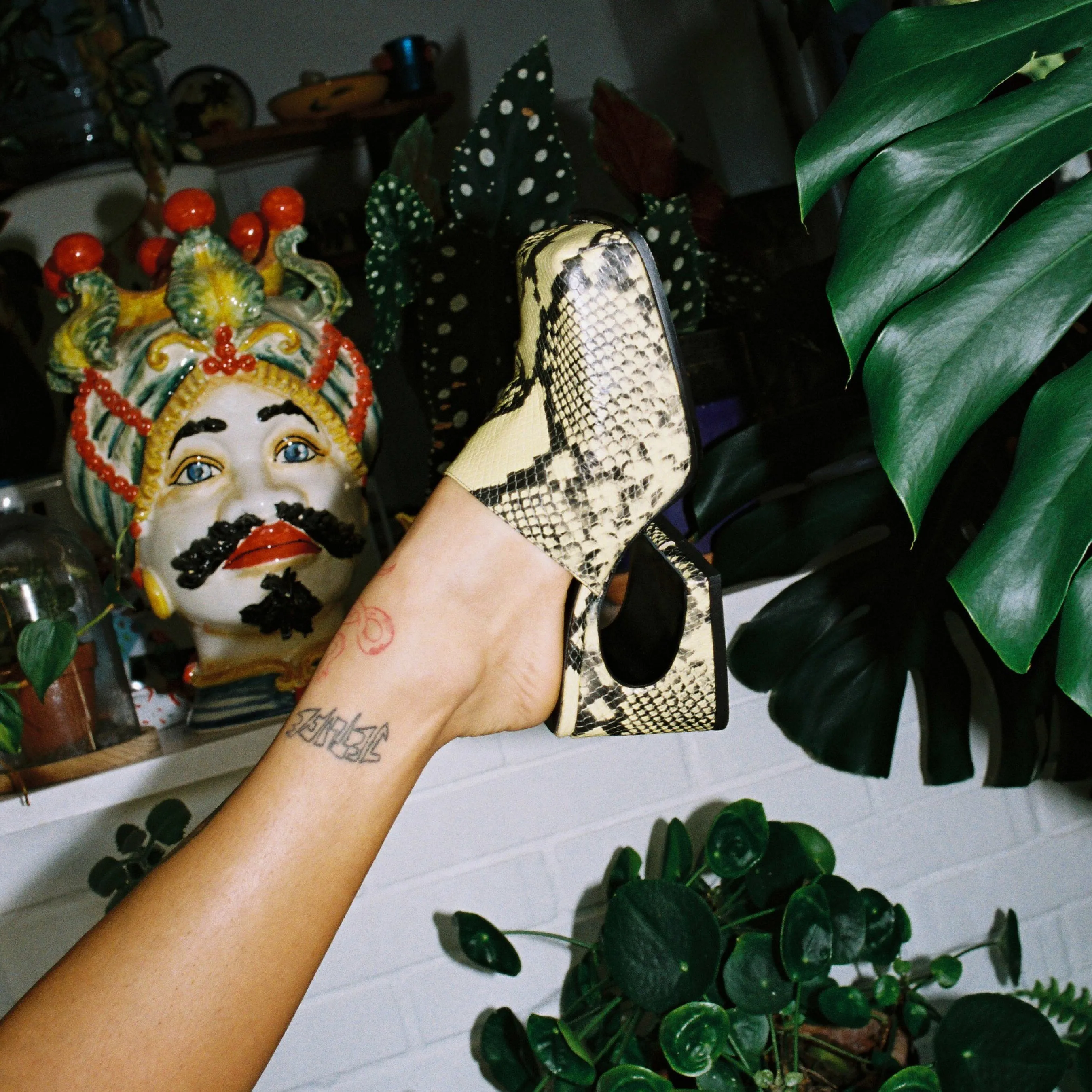 La Vanilla Snake Sassy Mule
