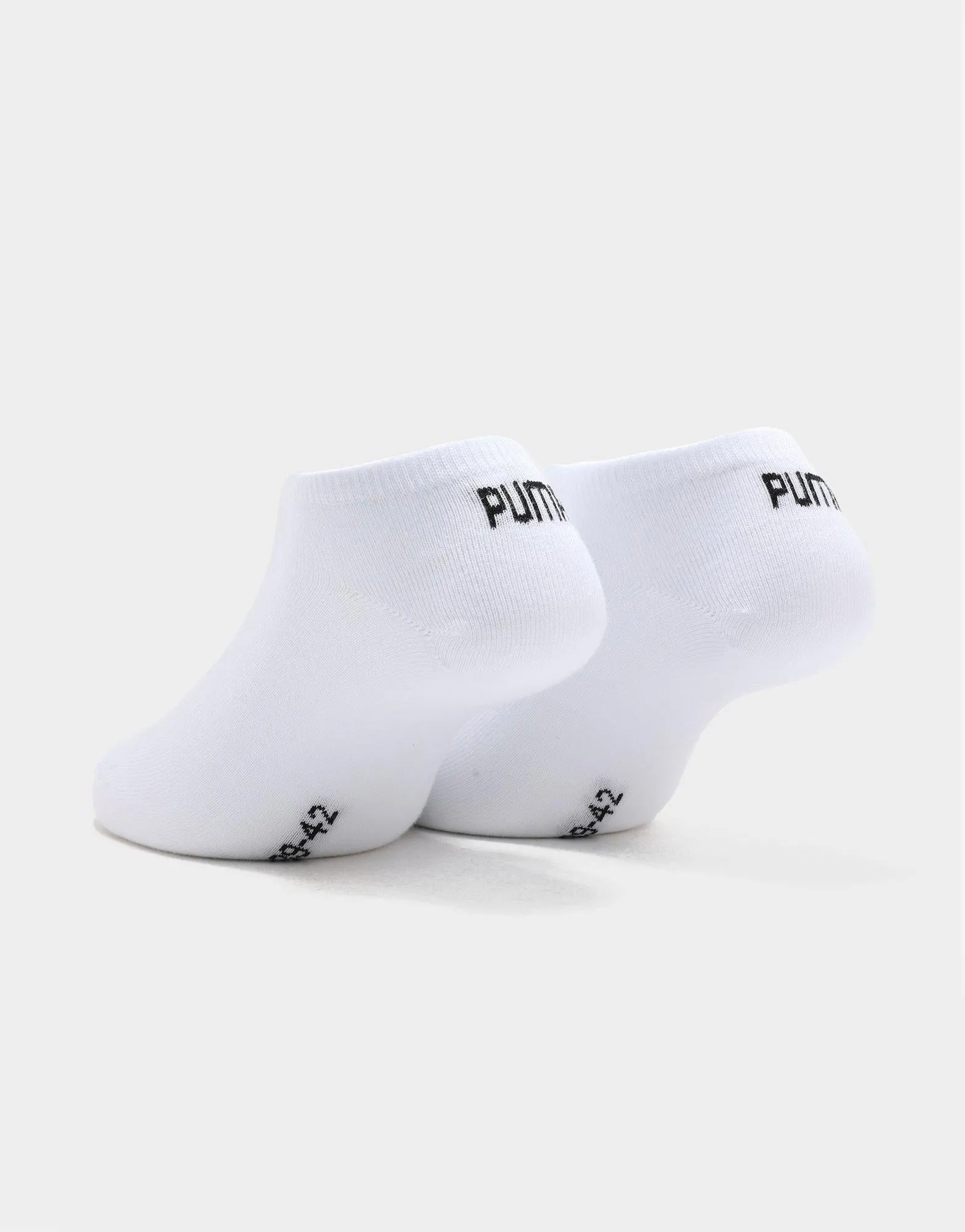 No Show Socks (3 Packs)