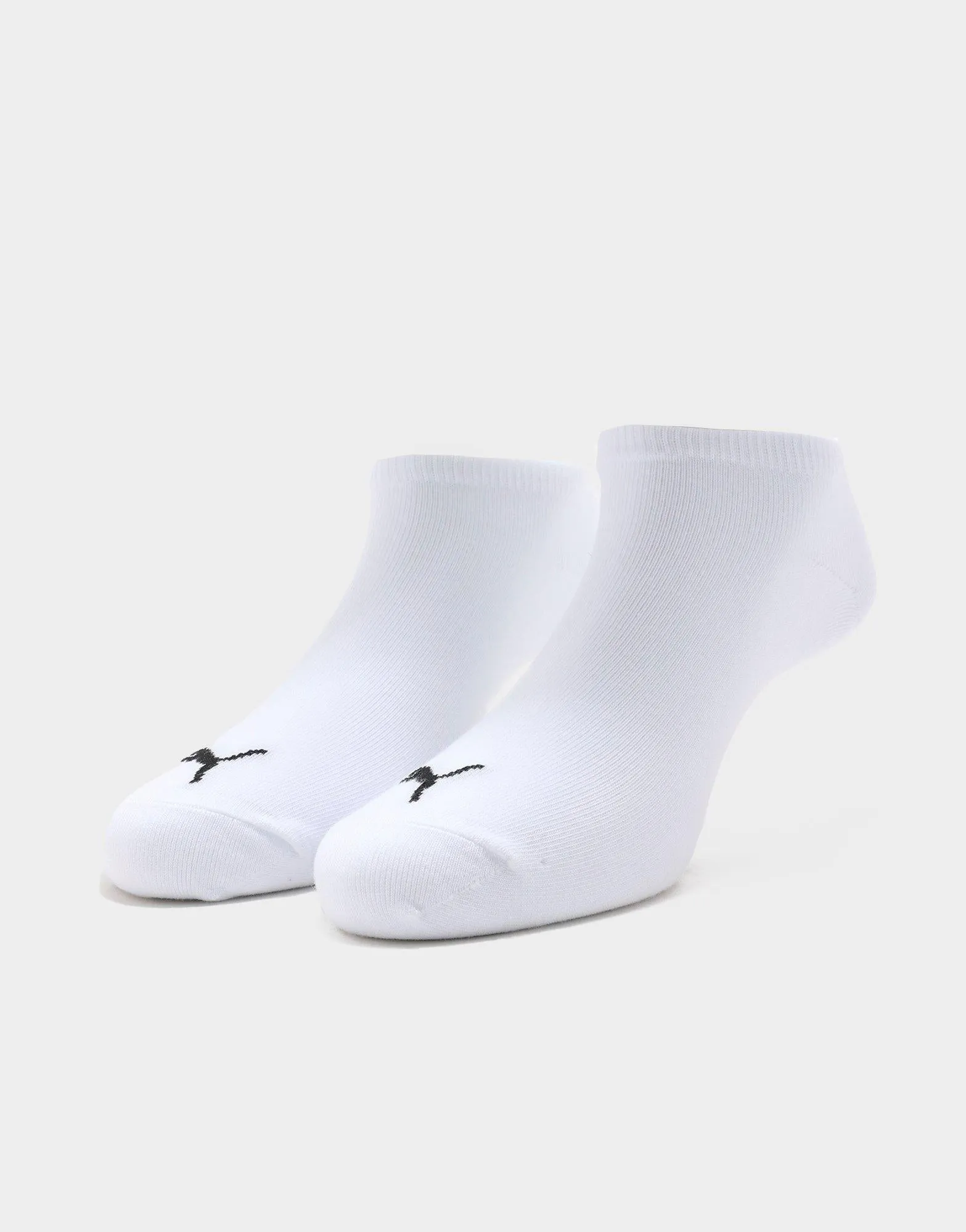 No Show Socks (3 Packs)