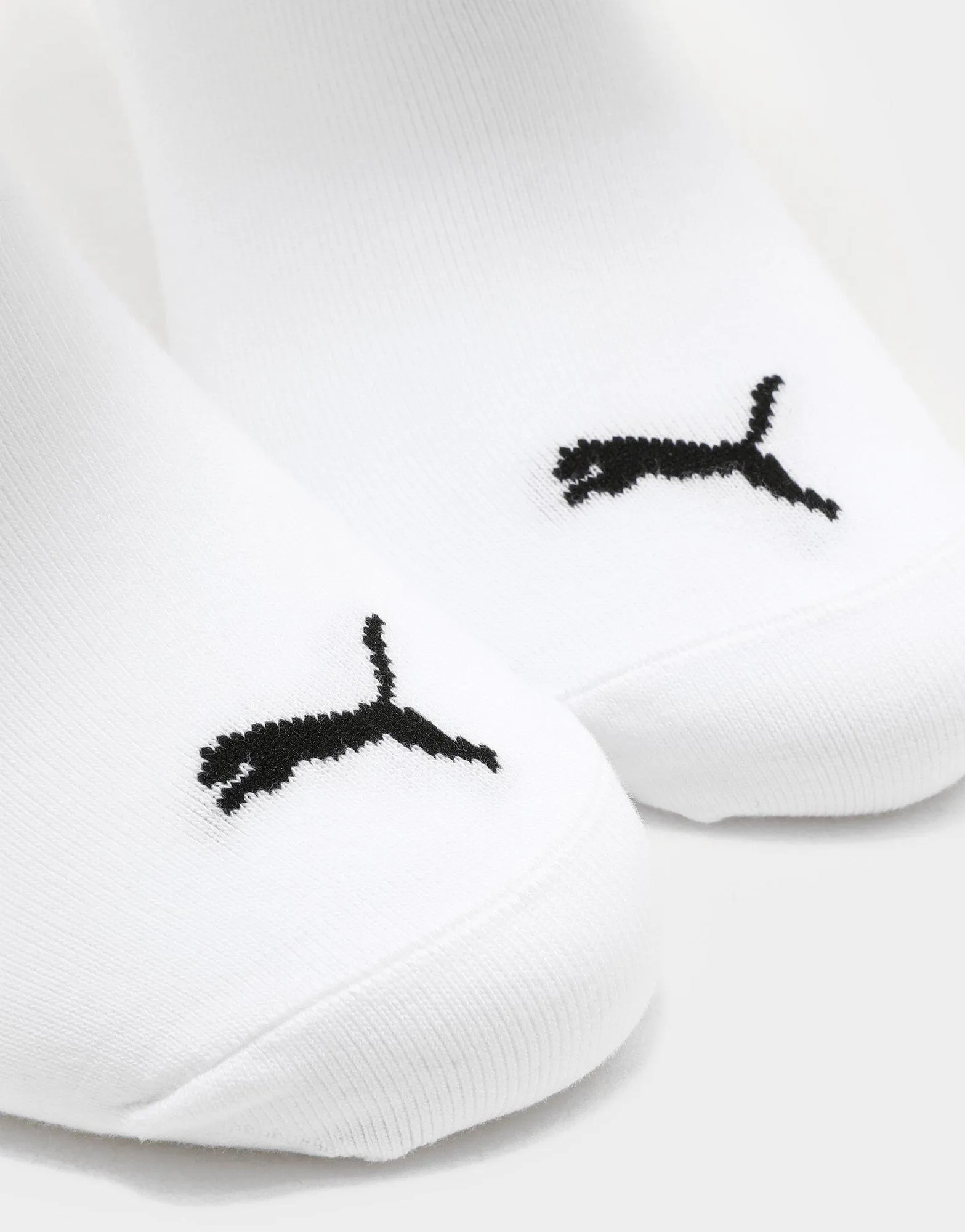 No Show Socks (3 Packs)