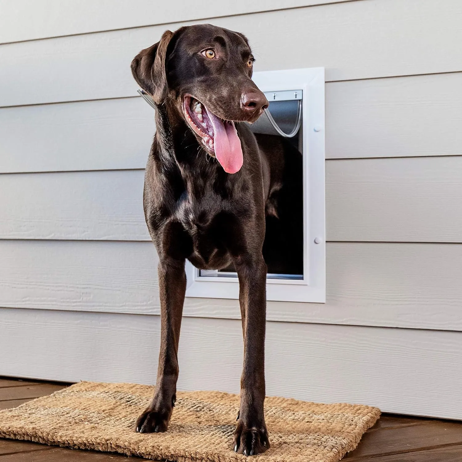 PetSafe Never Rust Wall Entry Pet Door - Telescoping Frame - Insulates Better Than Metal, Energy Efficient - Interior & Exterior Walls, Weatherproof, Easy to Install & Clean (White - Large)