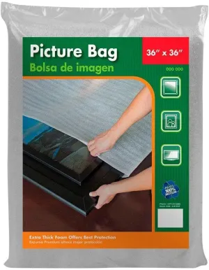 Picture Bag