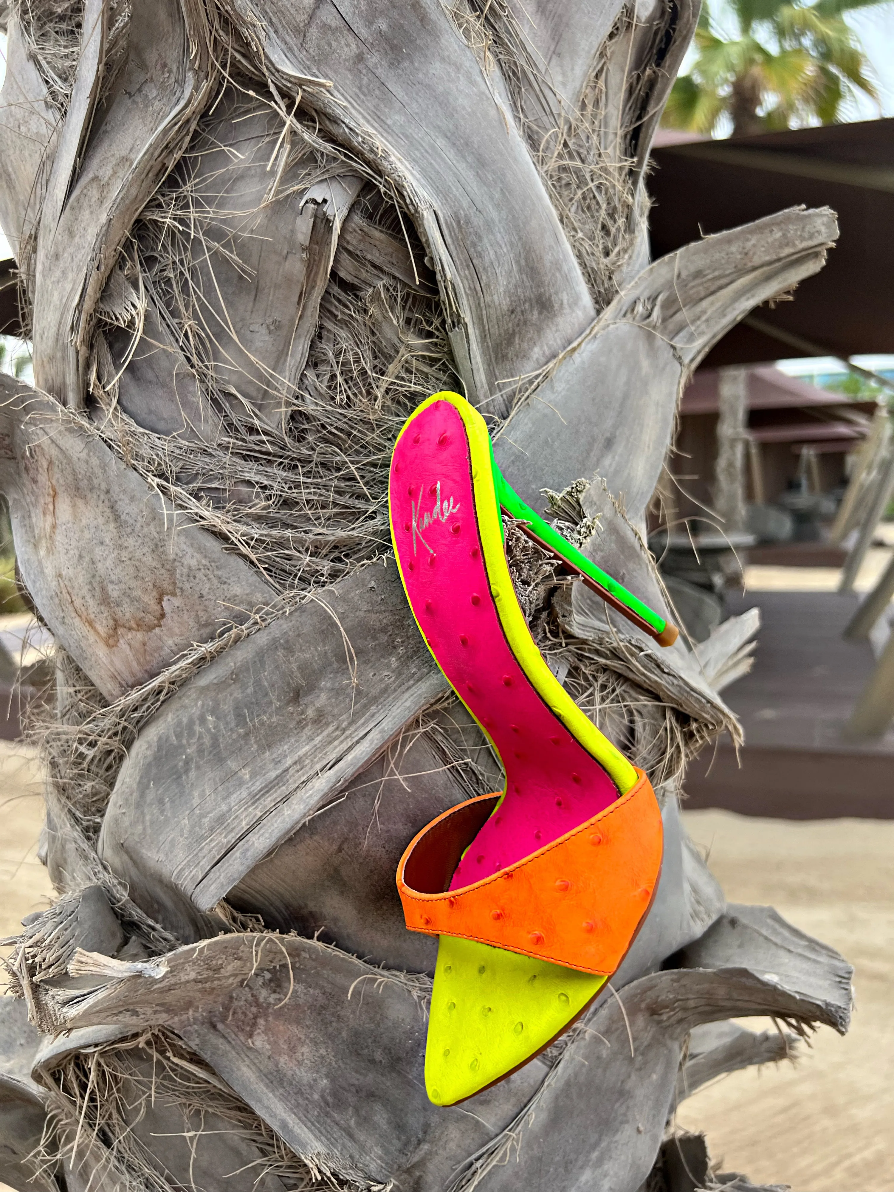 TROPICAL OSTRICH MULE