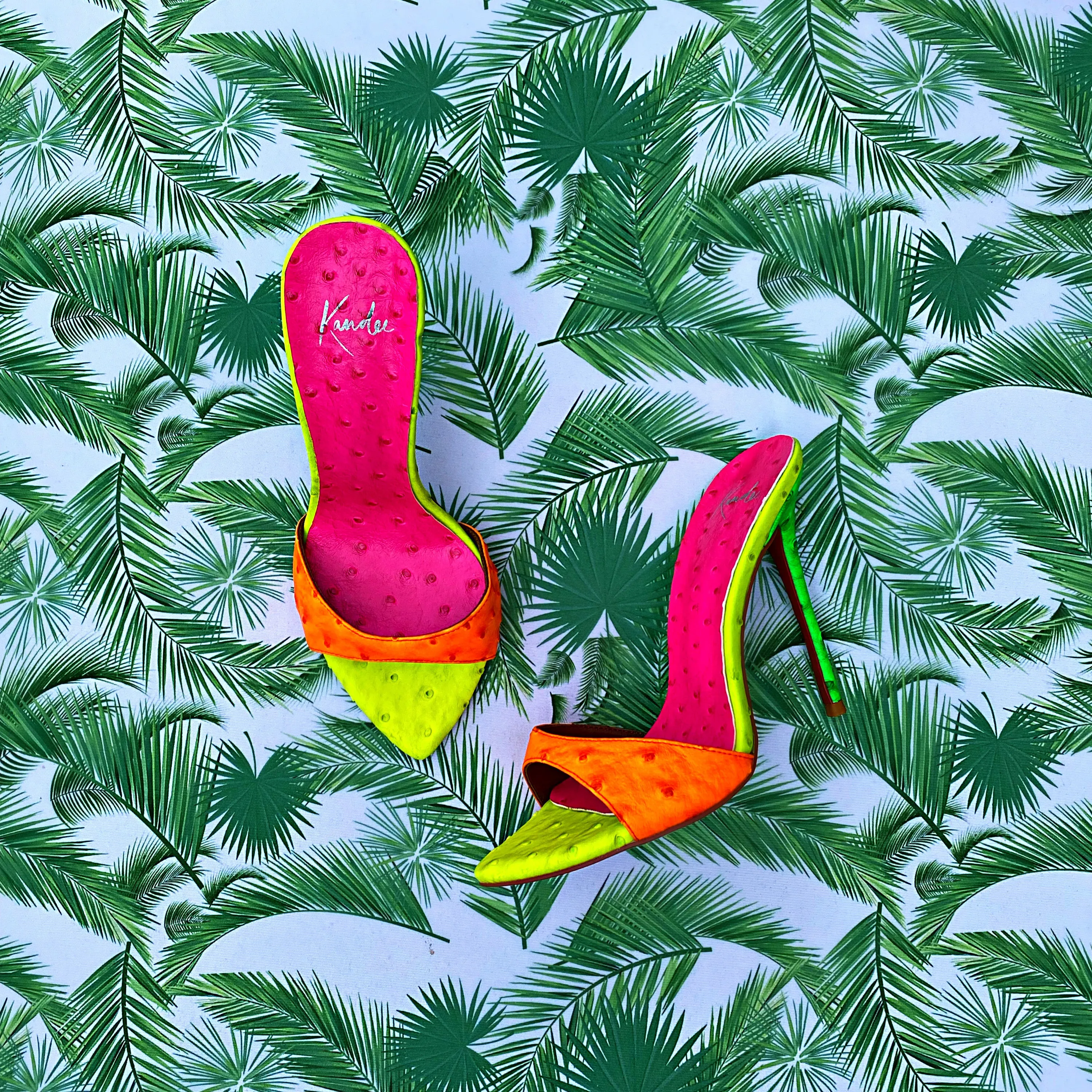 TROPICAL OSTRICH MULE