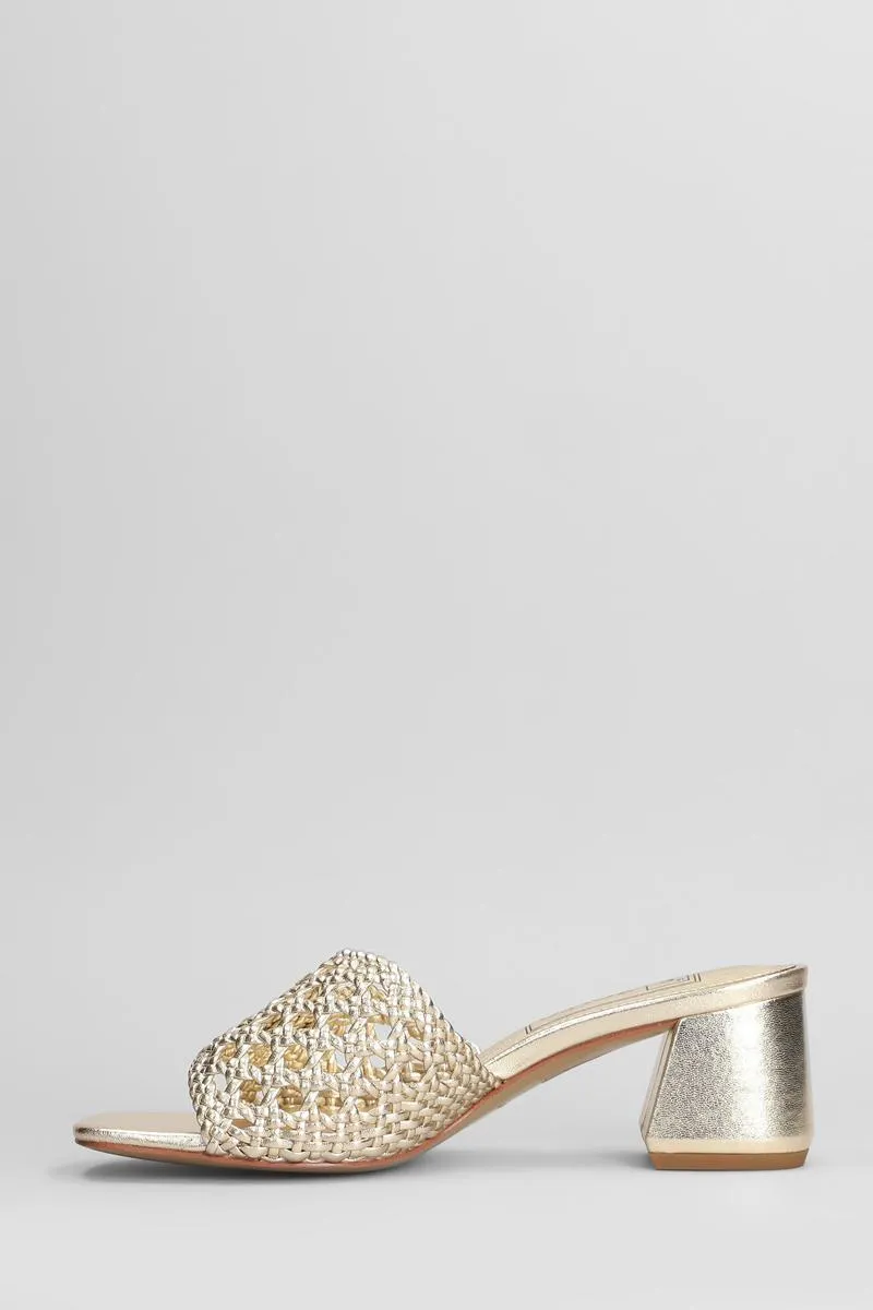 Zolfo Slipper-Mule