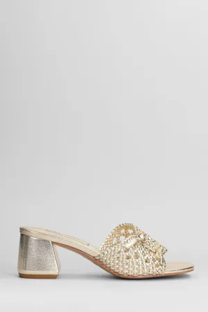 Zolfo Slipper-Mule